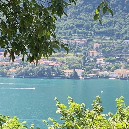 Apartment Casa Dono Il lago Pognana Lario Esterno foto