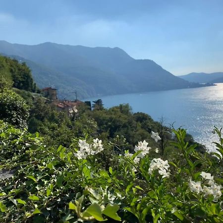 Apartment Casa Dono Il lago Pognana Lario Esterno foto