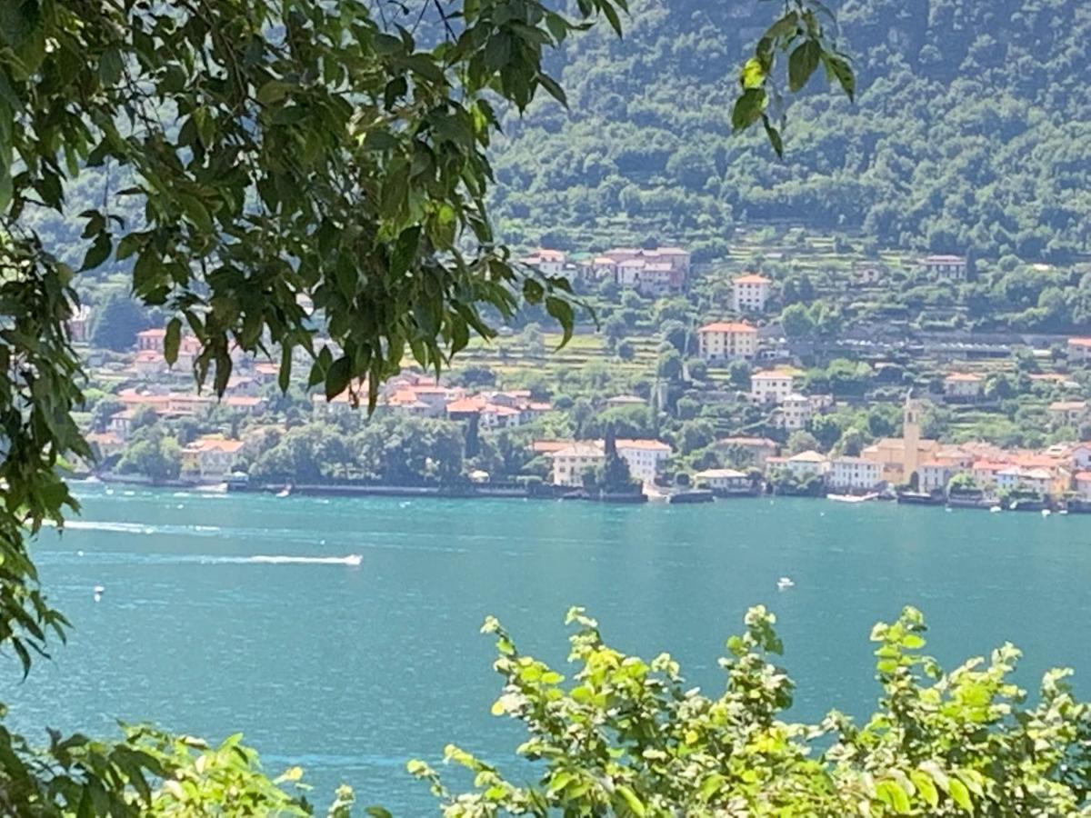 Apartment Casa Dono Il lago Pognana Lario Esterno foto