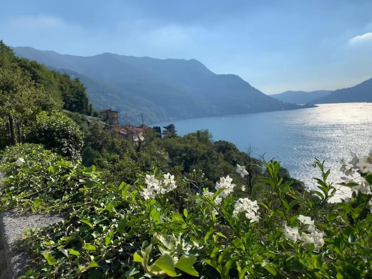 Apartment Casa Dono Il lago Pognana Lario Esterno foto