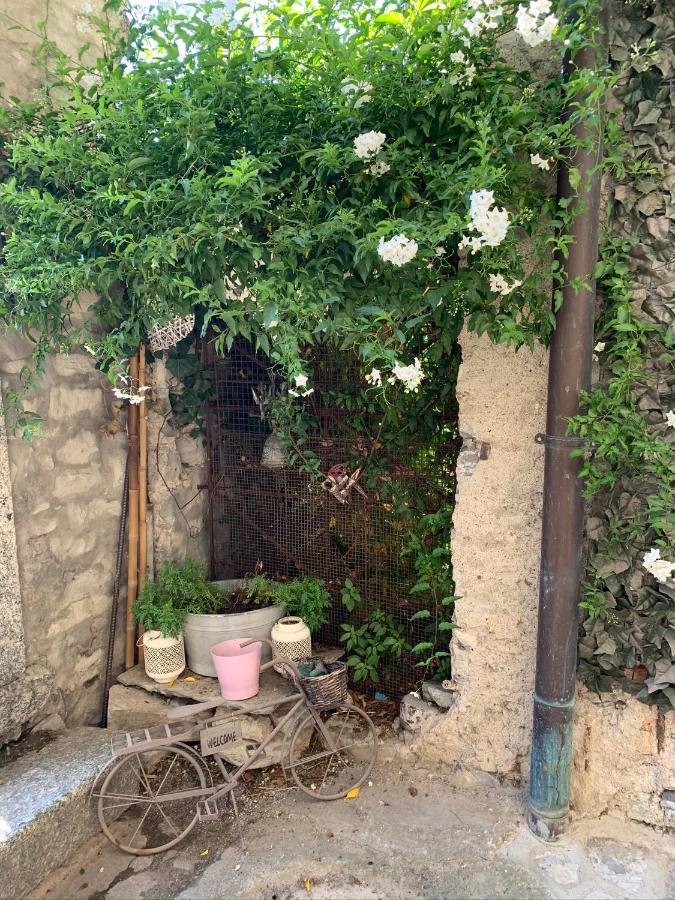 Apartment Casa Dono Il lago Pognana Lario Esterno foto